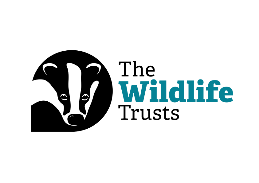 Logo Member
