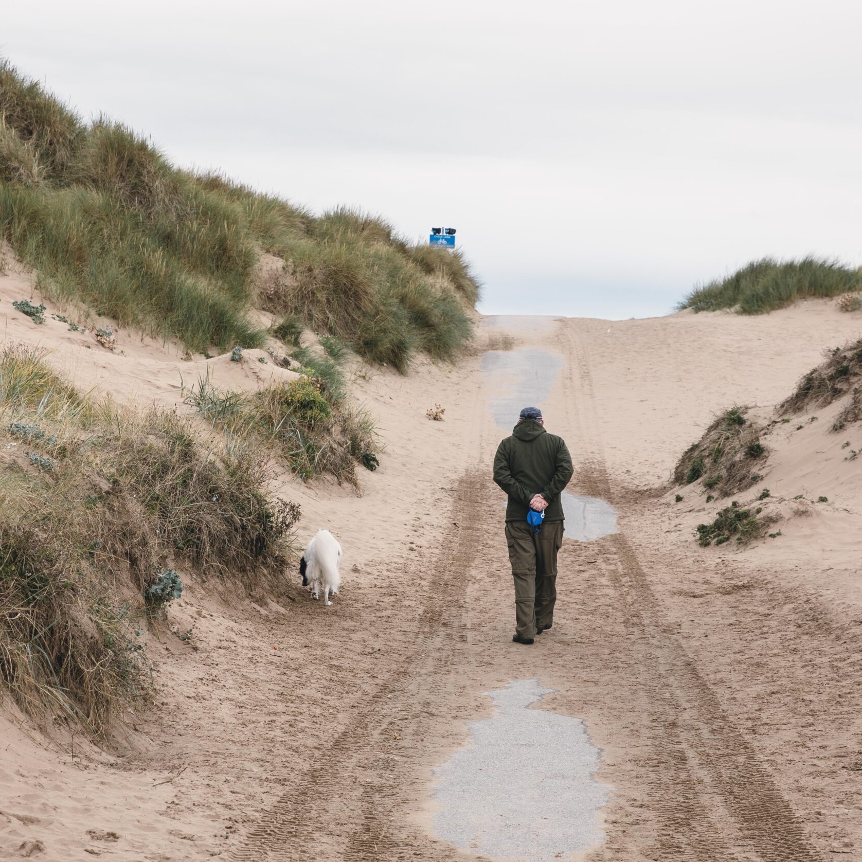 Environment and seaside An older man and his dog walk on the beach down a groove in the two mossy dunes that rise up to either side of them.
