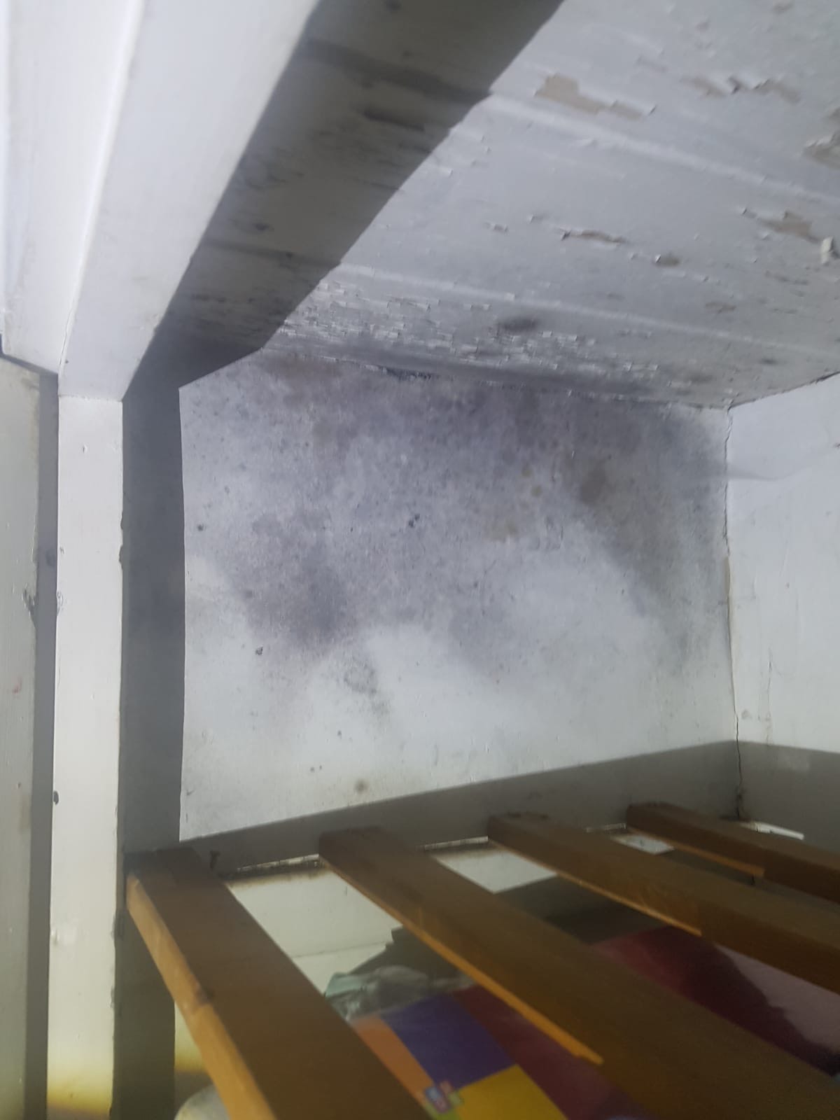 Image shows extensive black mould growth from damp inside a cupboard.