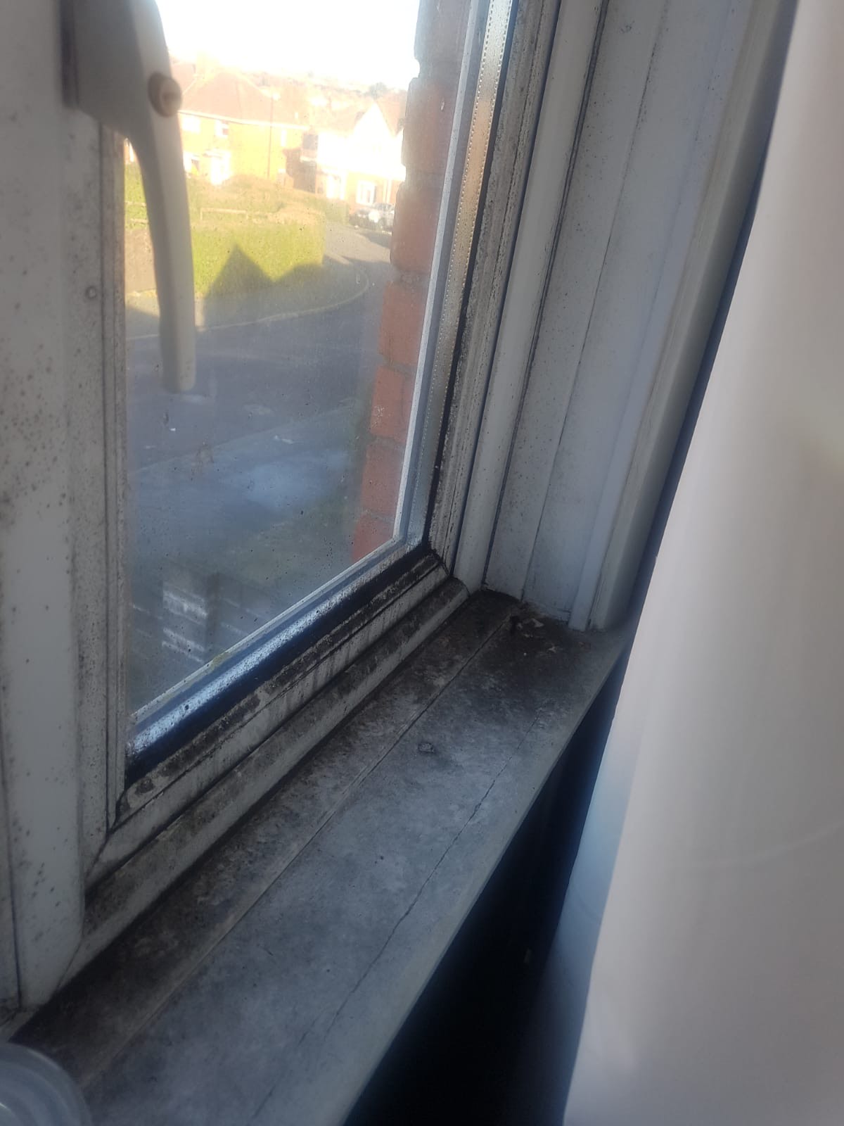 Image shows extensive black mould growth from damp inside, covering a windowsill.