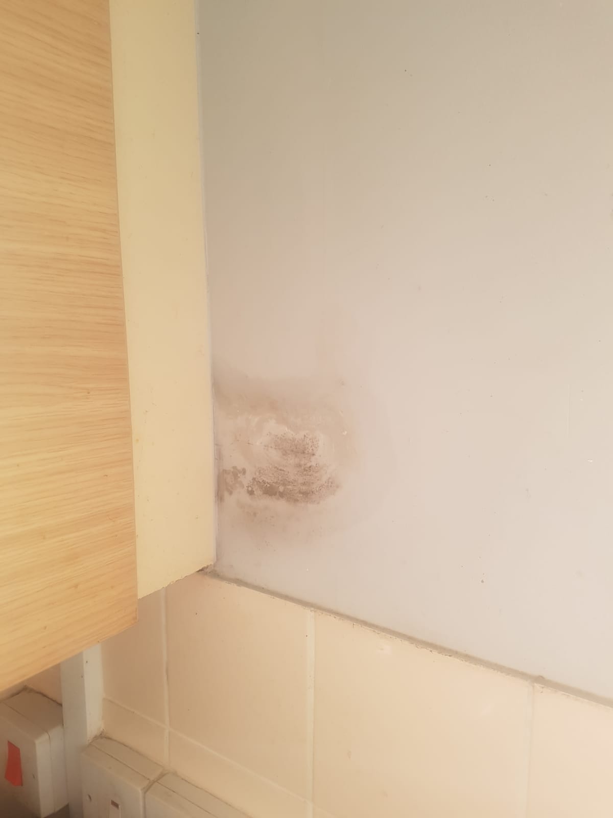 Image shows extensive mould growth from a damp patch inside next to kitchen cabinets.