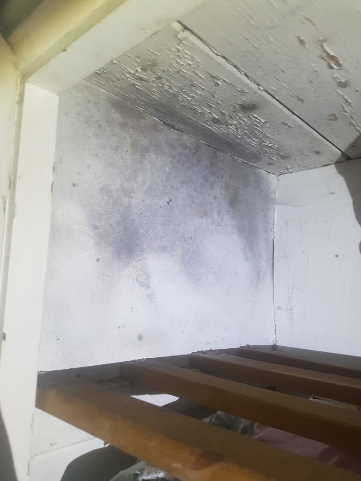 Image shows extensive black mould growth from damp inside a cupboard.